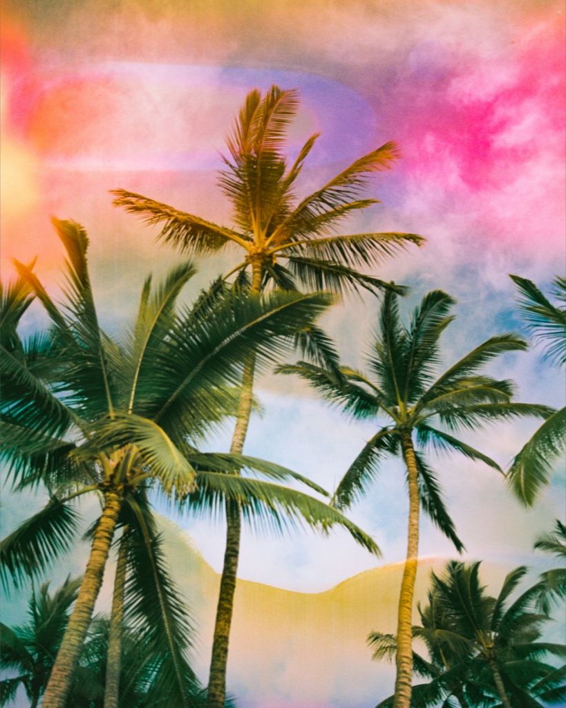 Psychedelic Palms II